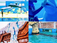 -秦皇岛乐岛海洋王国