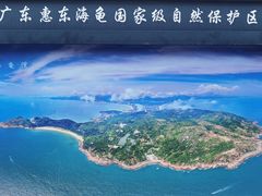 -广东惠东海龟国家级自然保护区