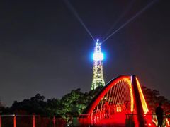-金鸡山公园