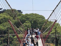 -平湖九龙山旅游度假区