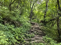 -王顺山国家森林公园