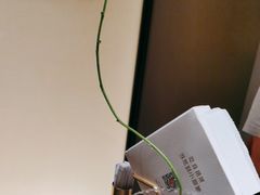 -小厨娘淮扬菜(河西奥美大厦店)