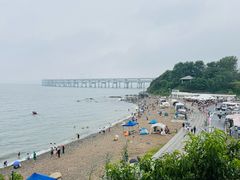 -星海湾跨海大桥