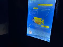-南昌融创海世界