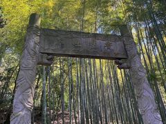 -杭州黄龙洞