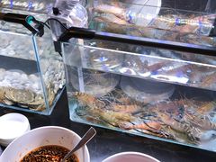罗氏虾-Social 秀西餐厅-长沙瑞吉酒店(运达店)