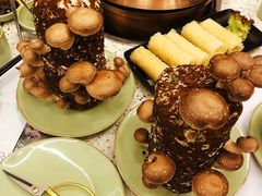 -椰子营·椰子鸡火锅(万象里店)