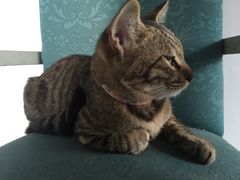 -南京夫子庙国际青年旅舍(平江府路店)