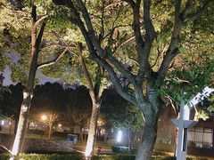 -金桥现代产业园区-停车场