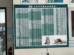 -中农国际动物医院24小时·猫科·骨科·急重症中心