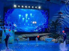 -海合安武汉极地海洋公园