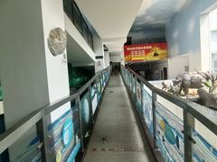 -中国第四纪冰川遗迹陈列馆