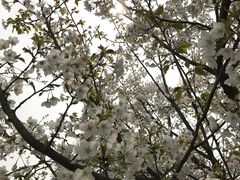 -白塘生态植物园