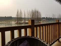 -三圣花乡旅游区