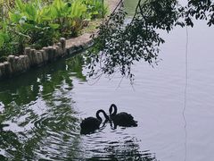 -南宁市动物园