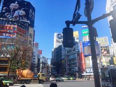 -涩谷区