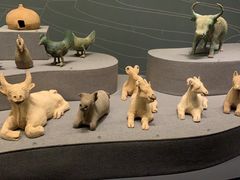 -广西壮族自治区博物馆