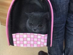 -康乐宝动物医院