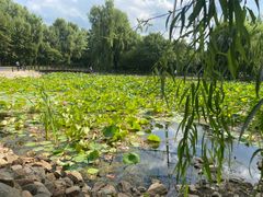 -黛秀湖公园