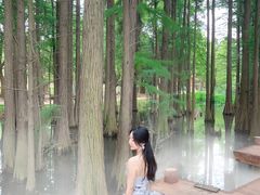 -东湖落雁景区