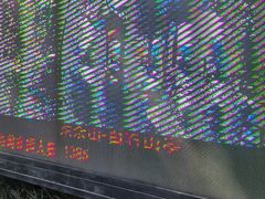 -上海佘山国家森林公园天马山园