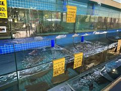 -坛南湾阿强农家乐.海鲜大排档老字号(福州地标美食店)