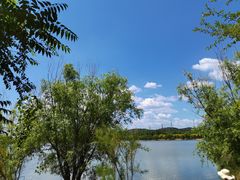 -永定河休闲森林公园