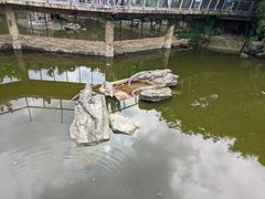 -南昌动物园