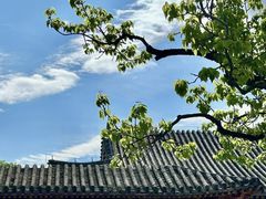 -北京鹫峰国家森林公园