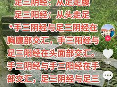 -裕和堂中医推拿艾灸(太古汇臻品店)