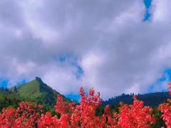 -硗碛藏寨·神木垒景区