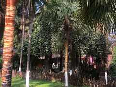 -云南民族村