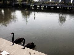 -同济大学(嘉定校区)