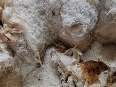 -阿侬盐焗鸡(清澜店)