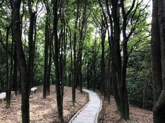 -火炉山森林公园