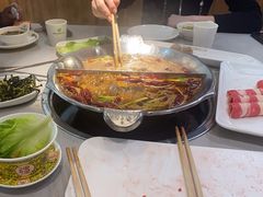 -渝大龙重庆火锅(温泉月亮湾店)