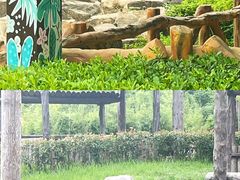 -上海野生动物园