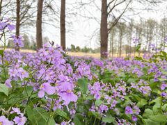 -上海辰山植物园