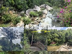 -海南热带雨林国家公园吊罗山景区