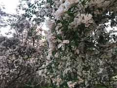 -山东大学(软件园校区)