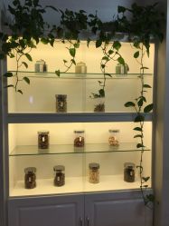 -诗媛嘉美健康管理中心(金桥店)