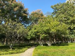 -后襄河公园