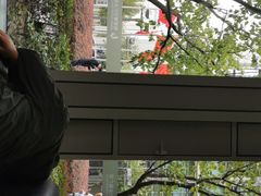 -陆家嘴世纪金融广场