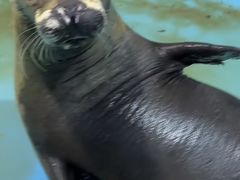 -大连圣亚海洋世界