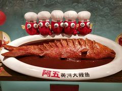 -阿五黄河大鲤鱼(英协路店)