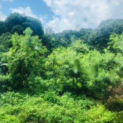 点击看大图 -馨月汇·独栋月子中心(南山店)