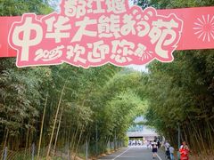 -都江堰中华大熊猫苑