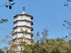 -深圳国际园林花卉博览园