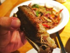 -新疆伏拉沃餐厅(白龙南路店)