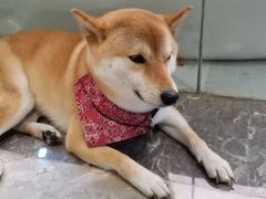 -潇湘阁(望京SOHO店)